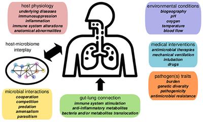 Altered Ecology of the Respiratory Tract Microbiome and Nosocomial Pneumonia